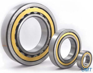 NJ305EM / C3 Flange Inside Ring Single Row Cylindrical Roller Bearings Chrome Steel V3
