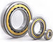 NJ305EM / C3 Flange Inside Ring Single Row Cylindrical Roller Bearings Chrome Steel V3